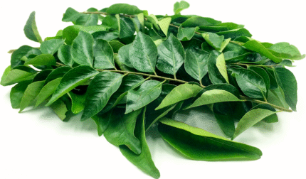 Curry Leaves (Gemuse)